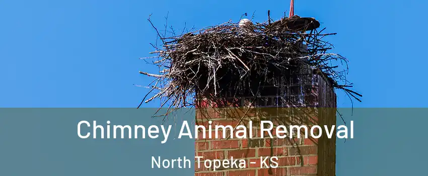 Chimney Animal Removal North Topeka - KS