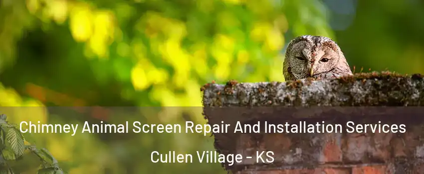 Chimney Animal Screen Repair And Installation Services Cullen Village - KS