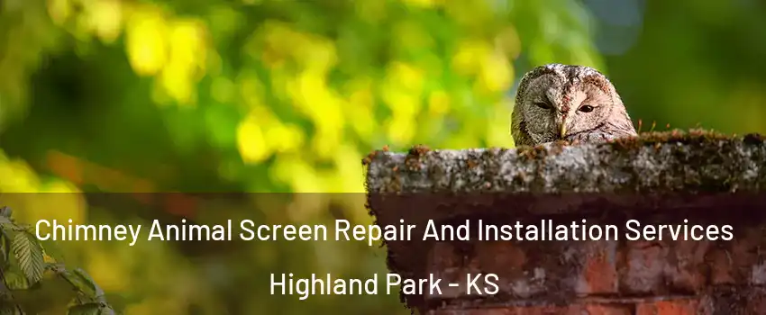 Chimney Animal Screen Repair And Installation Services Highland Park - KS