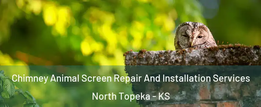 Chimney Animal Screen Repair And Installation Services North Topeka - KS