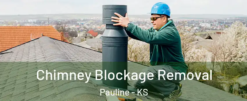 Chimney Blockage Removal Pauline - KS