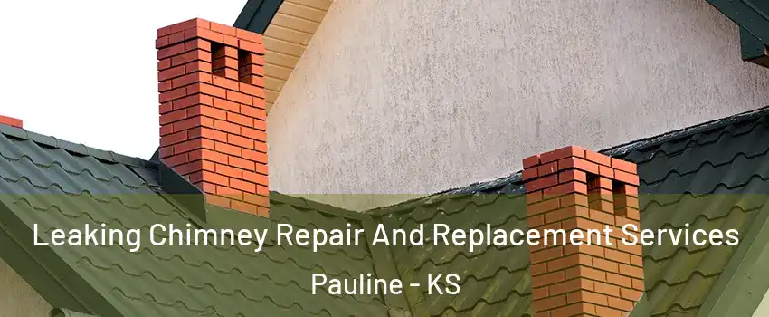 Leaking Chimney Repair And Replacement Services Pauline - KS