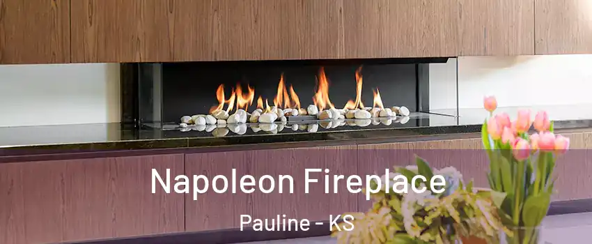 Napoleon Fireplace Pauline - KS